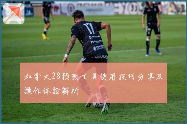 加拿大28预测工具使用技巧分享及操作体验解析