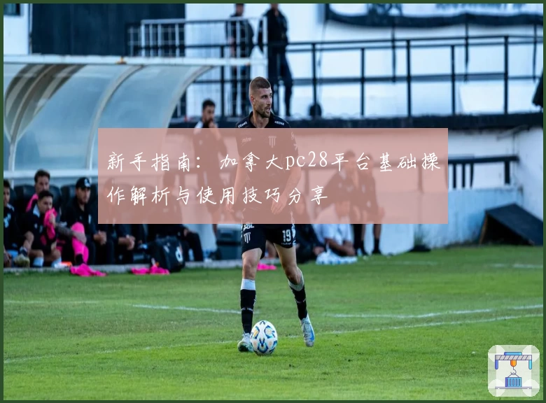 新手指南：加拿大pc28平台基础操作解析与使用技巧分享