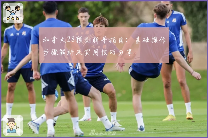 加拿大28预测新手指南：基础操作步骤解析及实用技巧分享