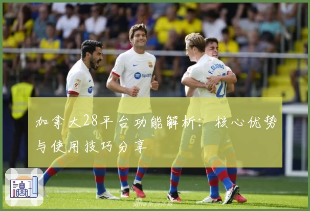 加拿大28平台功能解析：核心优势与使用技巧分享