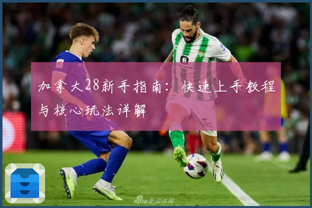 加拿大28新手指南:快速上手教程与核心玩法详解