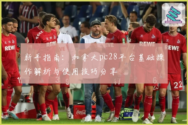 新手指南：加拿大pc28平台基础操作解析与使用技巧分享