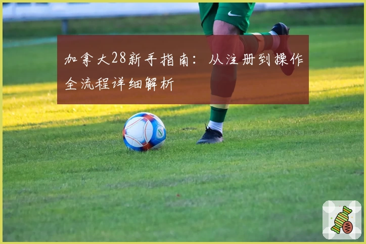 加拿大28新手指南:从注册到操作全流程详细解析