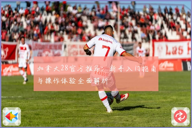 加拿大28官方推荐：新手入门指南与操作体验全面解析