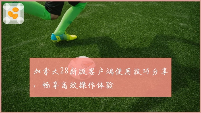 加拿大28新版客户端使用技巧分享，畅享高效操作体验